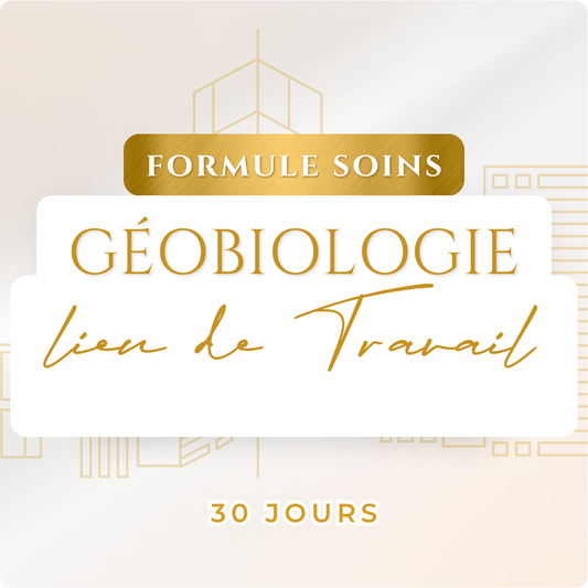 GÉOBIOLOGIE DU LIEU DE TRAVAIL