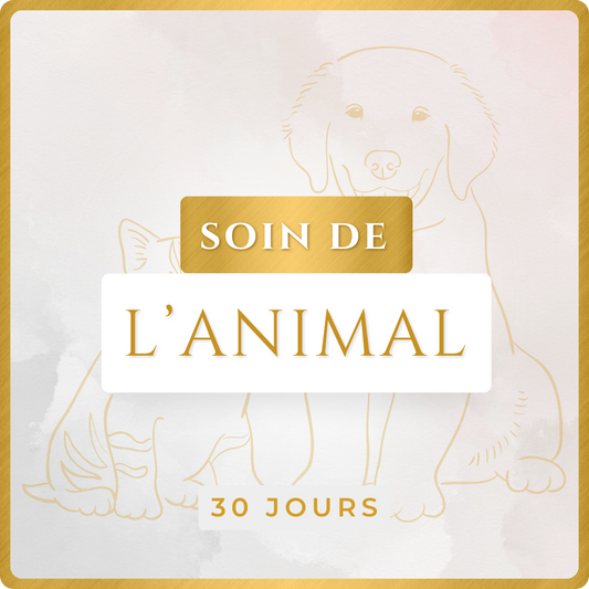 SOIN DE L'ANIMAL